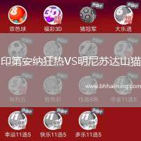 印第安納狂熱VS明尼蘇達(dá)山貓