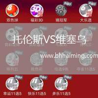 托倫斯VS維塞烏