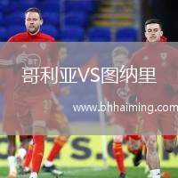 哥利亞VS圖納里