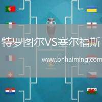 特羅圖爾VS塞爾福斯