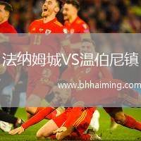 法納姆城VS溫伯尼鎮(zhèn)