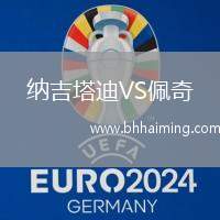 納吉塔迪VS佩奇