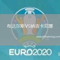 布達爾斯VS納吉卡尼塞