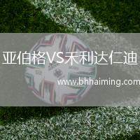 亞伯格VS禾利達(dá)仁迪