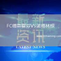 FC德森霍芬VS諾德林根