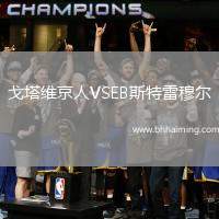 戈塔維京人VSEB斯特雷穆爾