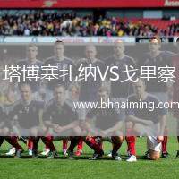 塔博塞扎納VS戈里察