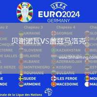 貝謝諾瓦VS蓋茲馬洛克