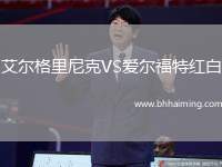 艾爾格里尼克VS愛爾福特紅白