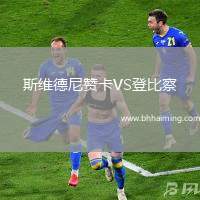 斯維德尼贊卡VS登比察