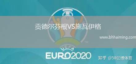 貢德?tīng)柗腋鵙S施瓦伊格