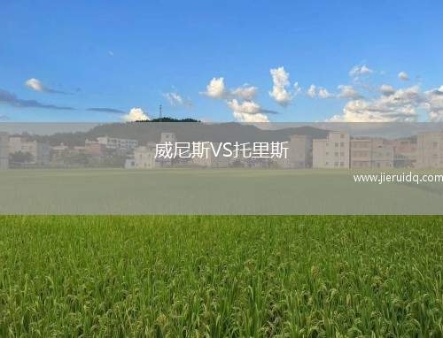 北方虎女足VS新南威爾士大學(xué)女足