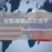 安斯基德VS尼雪平