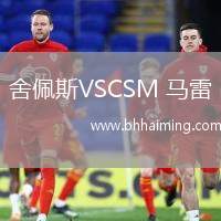 舍佩斯VSCSM 馬雷