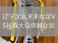 遼寧沈北禾豐女足VS長(zhǎng)春大眾卓越女足