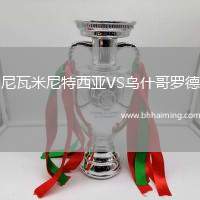 尼瓦米尼特西亞VS烏什哥羅德