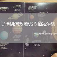 連利弗哥玫瑰VS坎伯諾爾德