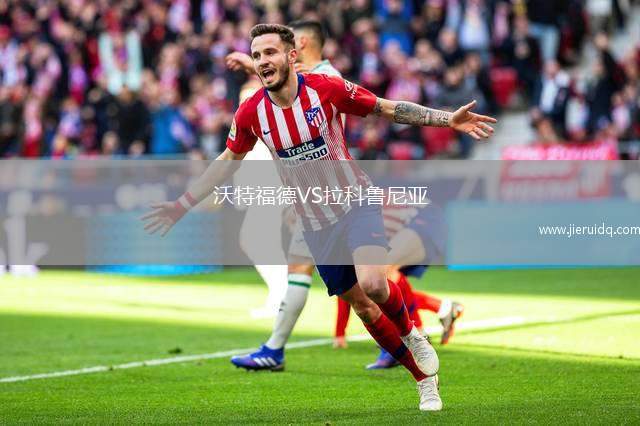 喀澤夫VS諾華茲