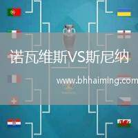 諾瓦維斯VS斯尼納