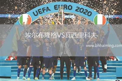 埃爾布隆格VS瓦西里科夫