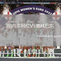 胡內(nèi)多阿拉VS塞林巴爾
