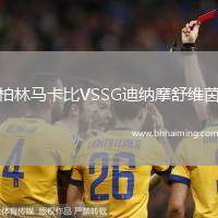 柏林馬卡比VSSG迪納摩舒維茵