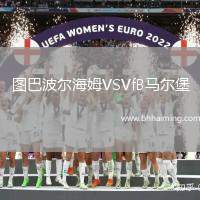 圖巴波爾海姆VSVfB馬爾堡