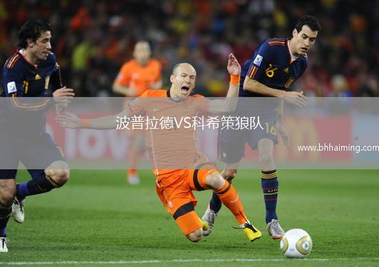 波普拉德VS科希策狼隊(duì)