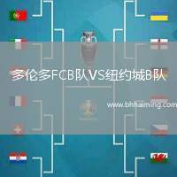 多倫多FCB隊VS紐約城B隊