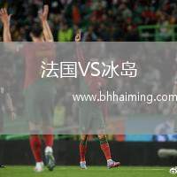 法國VS冰島