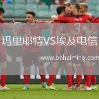 瑪里耶特VS埃及電信