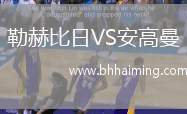 勒赫比日VS安高曼