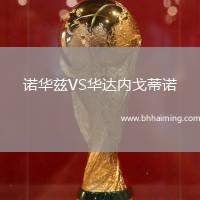 諾華茲VS華達內(nèi)戈蒂諾