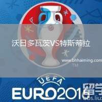 沃日多瓦茨VS特斯蒂拉