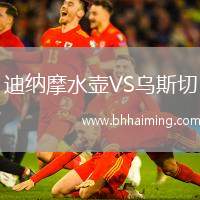 迪納摩水壺VS烏斯切