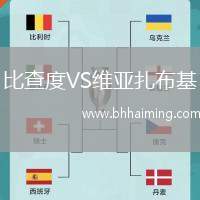 比查度VS維亞扎布基