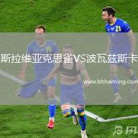 斯拉維亞克思雀VS波瓦茲斯卡