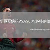 斯羅可候沃VSASC09多特蒙德