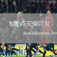 飛鷹VS安保漢友