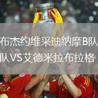 布杰約維采迪納摩B隊(duì)VS艾德米拉布拉格