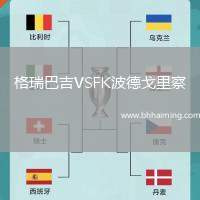 格瑞巴吉VSFK波德戈里察