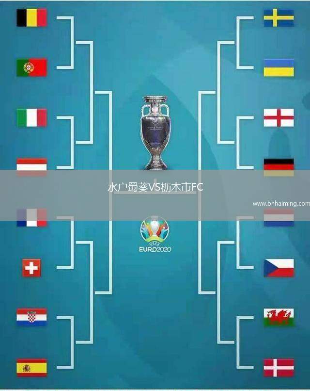 水戶蜀葵VS櫪木市FC