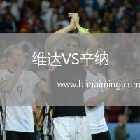 維達(dá)VS辛納