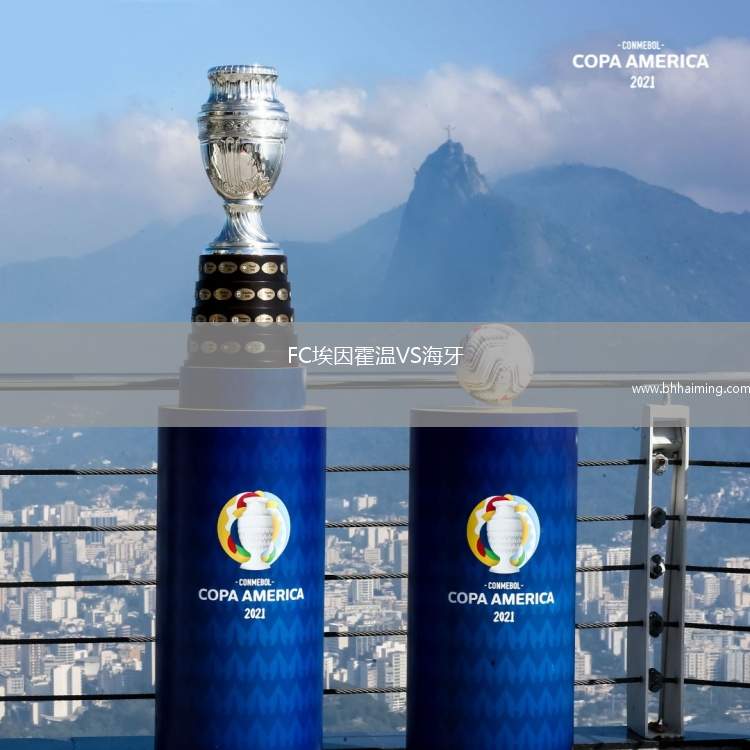 FC埃因霍溫VS海牙