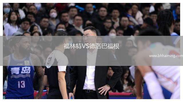 福林特VS德洛巴福根