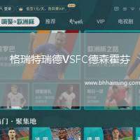 格瑞特瑞德VSFC德森霍芬