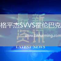 格平杰SVVS霍倫巴克