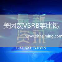 美因茨VSRB萊比錫