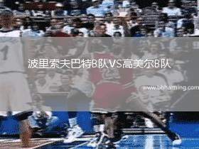 波里索夫巴特B隊VS高美爾B隊