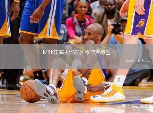 MSK貝塞夫VS斯拉維亞克思雀